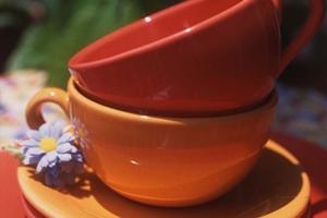 浦安市で選ばれるハウスクリーニングサービスの全貌と利用のメリットガイド