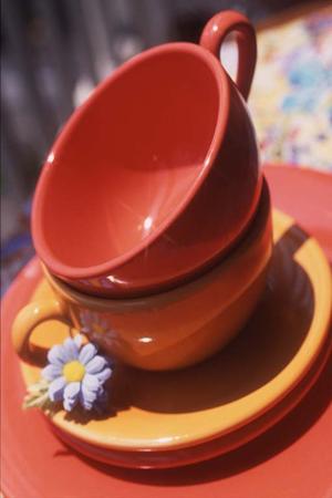 高齢者や会社にも便利な家事代行サービス