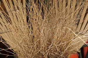 宝石買取を考える方が増えています