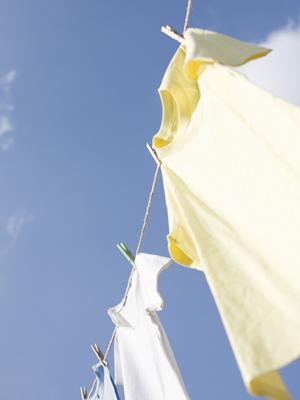 熊本で信頼できる探偵を見つけるための完全ガイド： 浮気調査から費用の抑え方まで