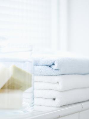 刀剣のオンライン販売の専門店の情報