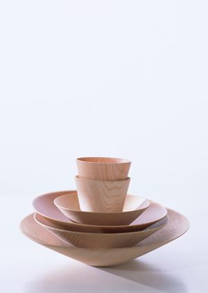 太陽光発電を始めるなら土地付きにしょう