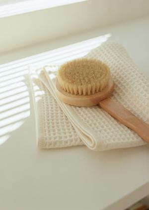 グラスの魅力とこれからの将来性とは